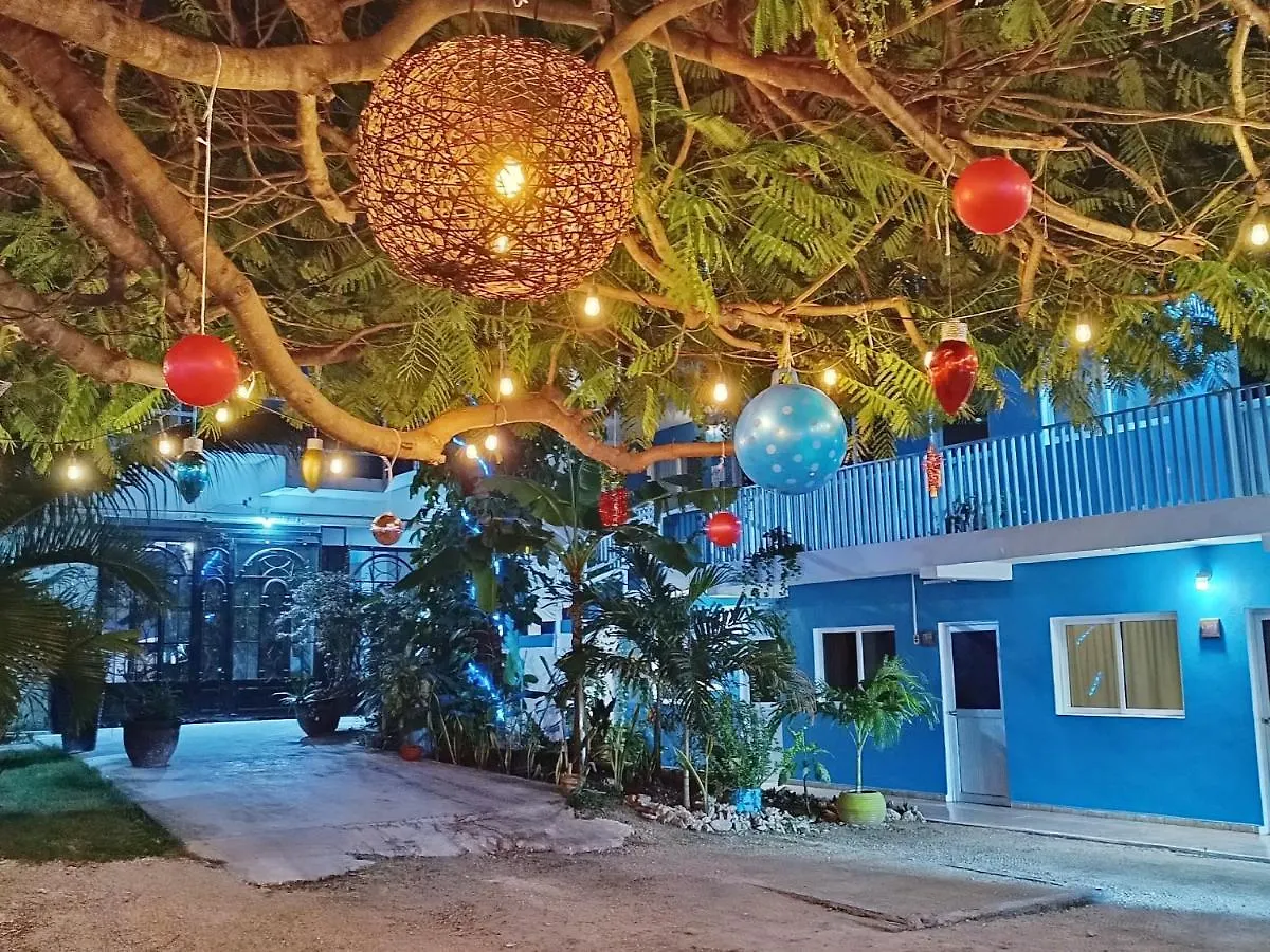 **  Blue Coconut Cancun Hotel Meksyk