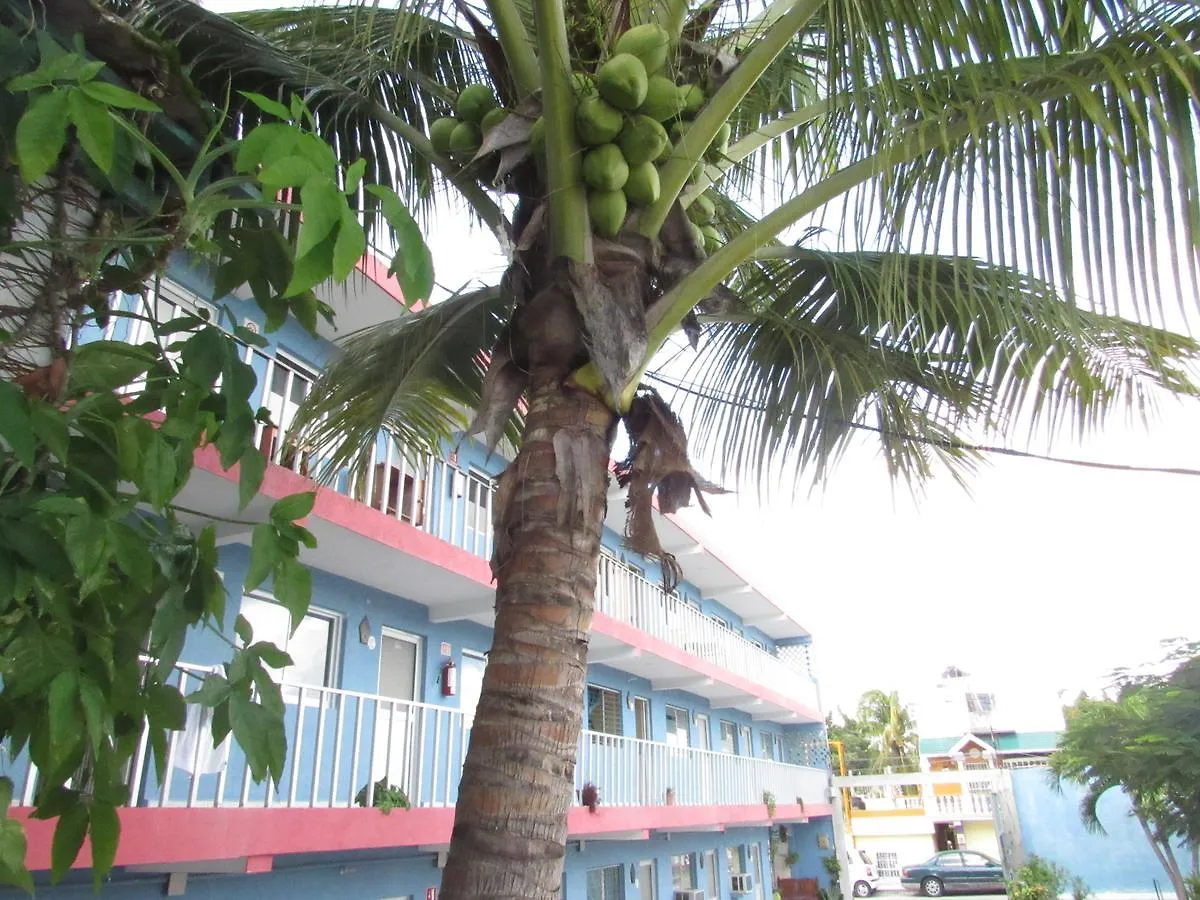 Blue Coconut Cancun Hotel 2*,  Meksyk