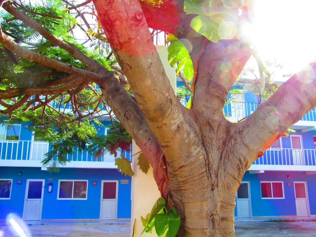 Blue Coconut Cancun Hotel